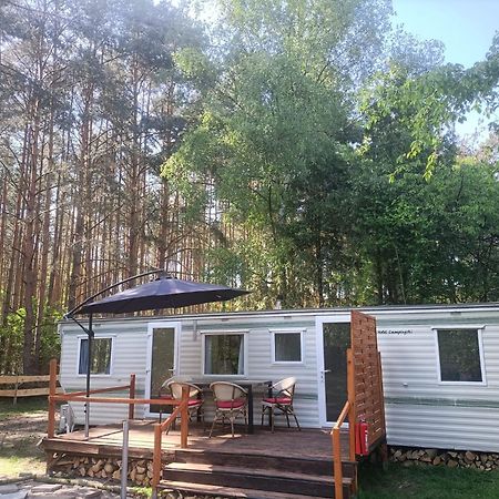 فندق Tinyhaus Idyllisch Am Waldesrand كوتبوس المظهر الخارجي الصورة